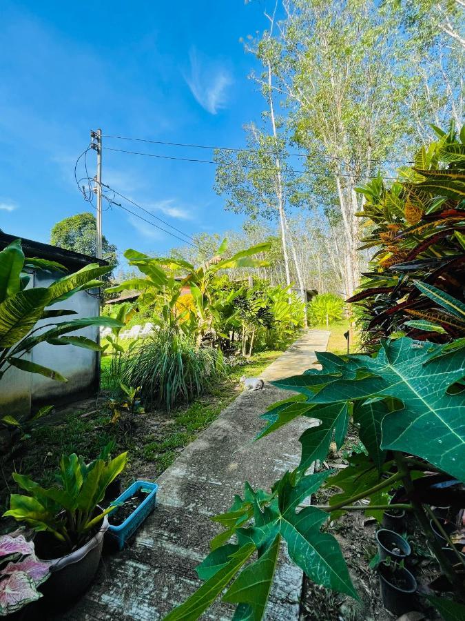 Lok Mun Bungalows เกาะยาวน้อย ภายนอก รูปภาพ